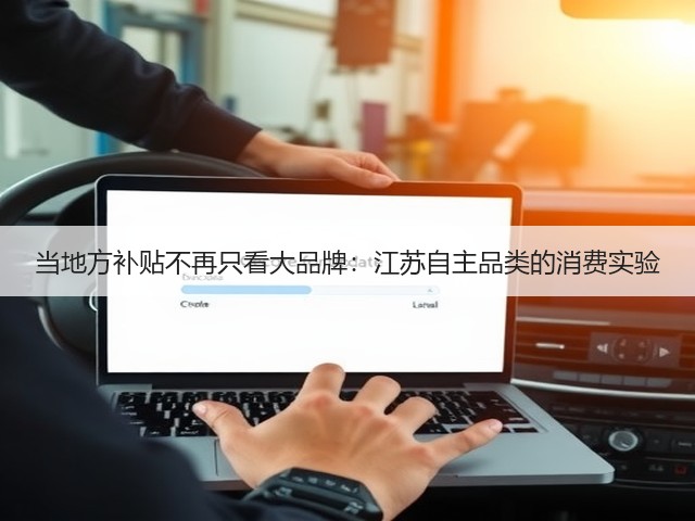 当地方补贴不再只看大品牌:江苏自主品类的消费实验(图3) 当地方补贴不再只看大品牌:江苏自主品类的消费实验(图3)