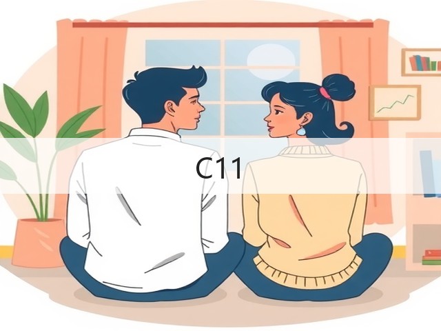 C11(图1)