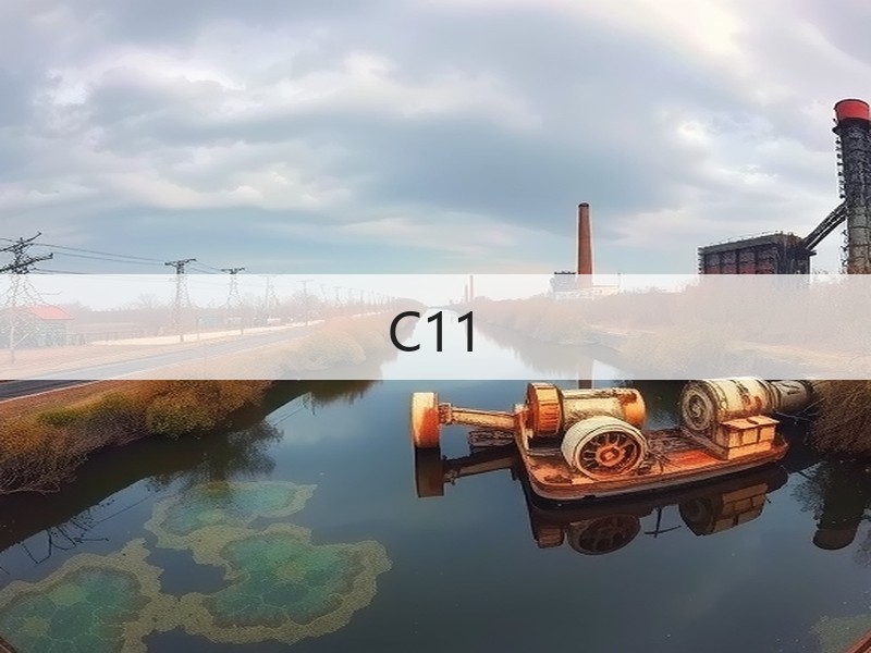 C11