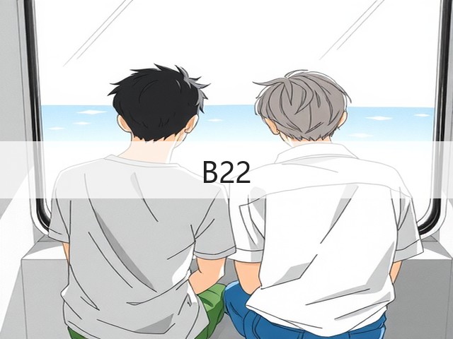 B22(图1)