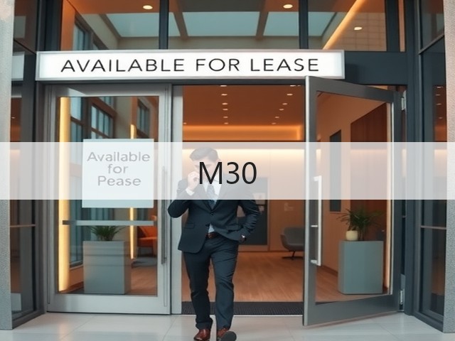M30(图1) M30(图1)