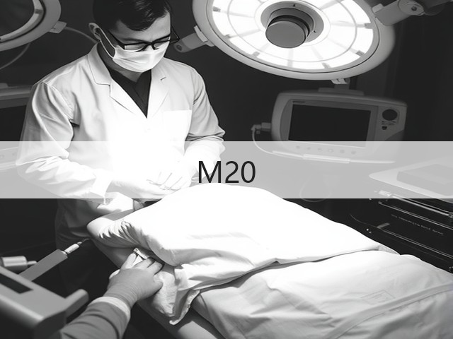 M20(图2)