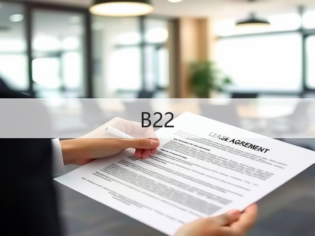 B22(图3)