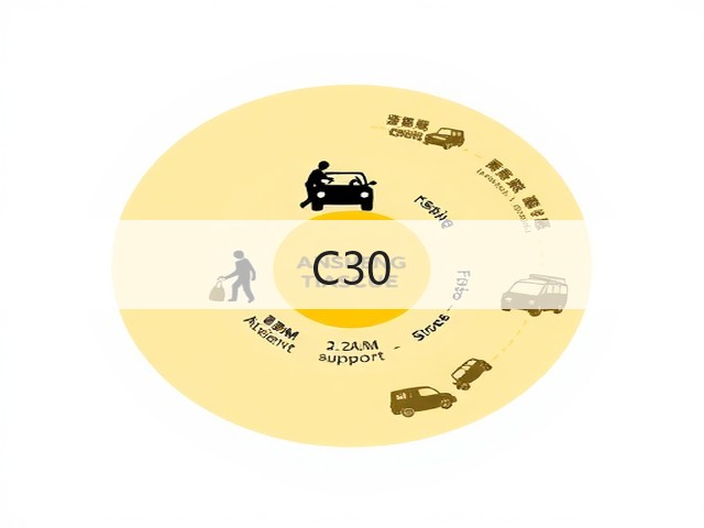 C30(图2)