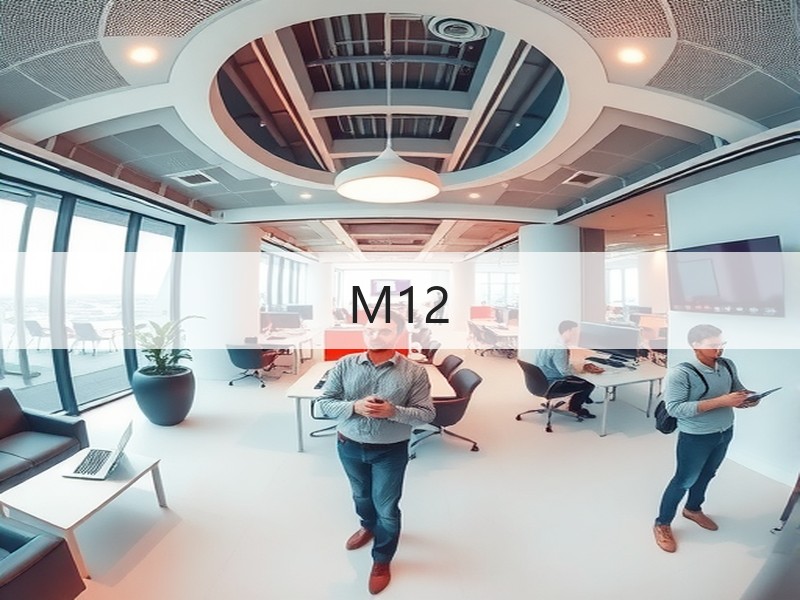 M12