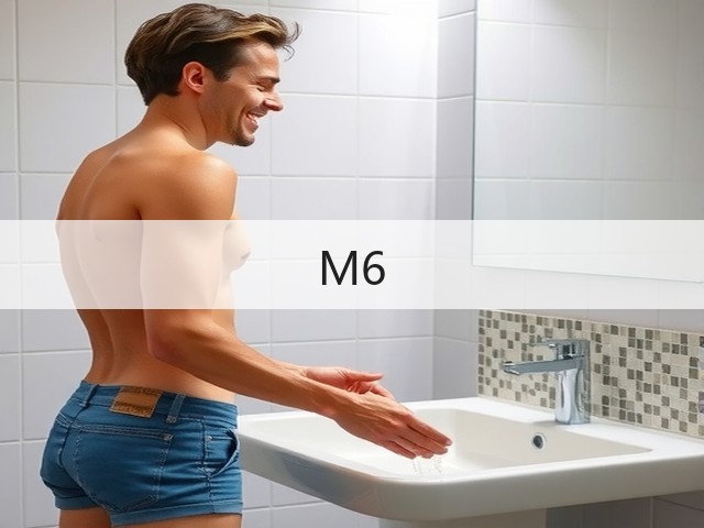 M6(图3)