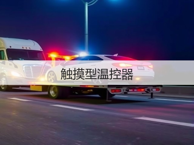 触摸型温控器(图1)