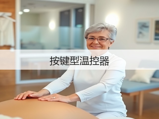 按键型温控器(图2)