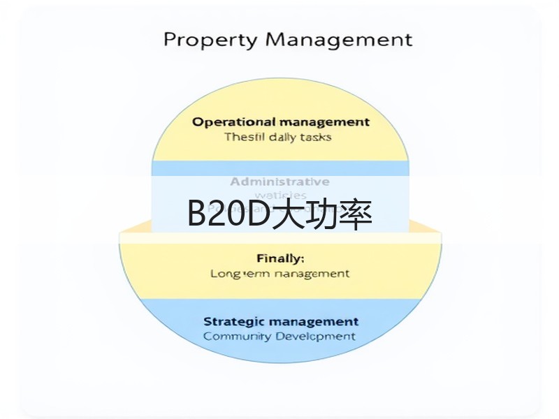B20D大功率