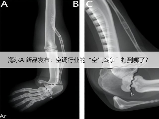 海尔AI新品发布:空调行业的“空气战争”打到哪了?(图2) 海尔AI新品发布:空调行业的“空气战争”打到哪了?(图2)