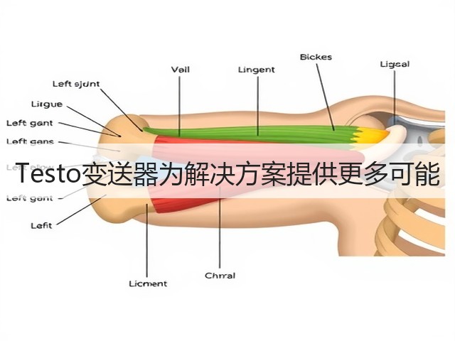 Testo变送器为解决方案提供更多可能(图1) Testo变送器为解决方案提供更多可能(图1)