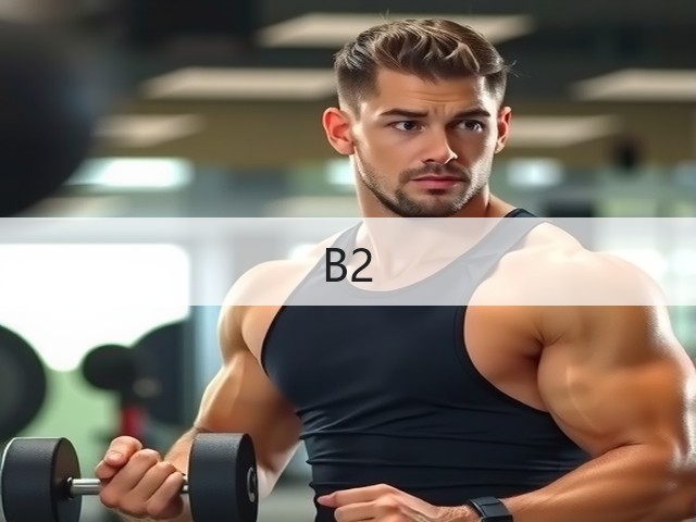 B2(图3)