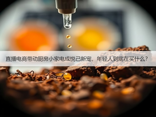 直播电商带动厨房小家电成悦己新宠,年轻人到底在买什么?(图1) 直播电商带动厨房小家电成悦己新宠,年轻人到底在买什么?(图1)
