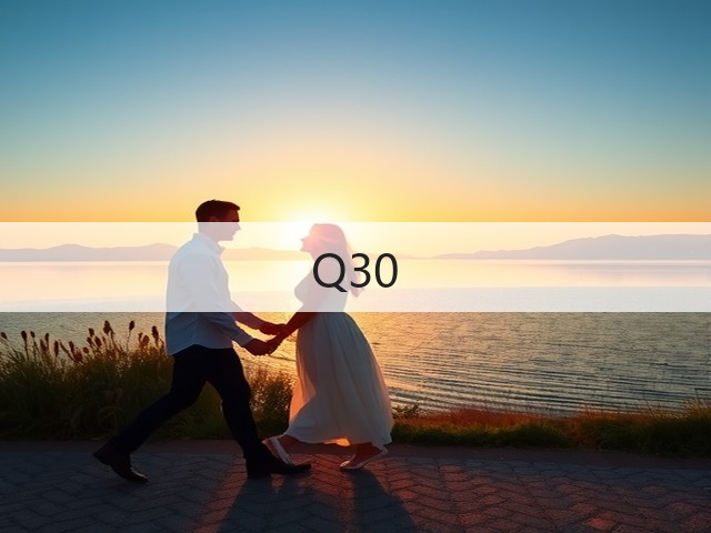 Q30(图1) Q30(图1)