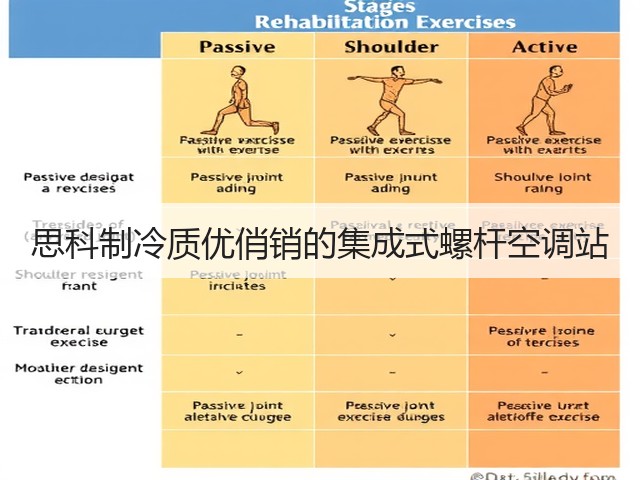 思科制冷质优俏销的集成式螺杆空调站(图3) 思科制冷质优俏销的集成式螺杆空调站(图3)