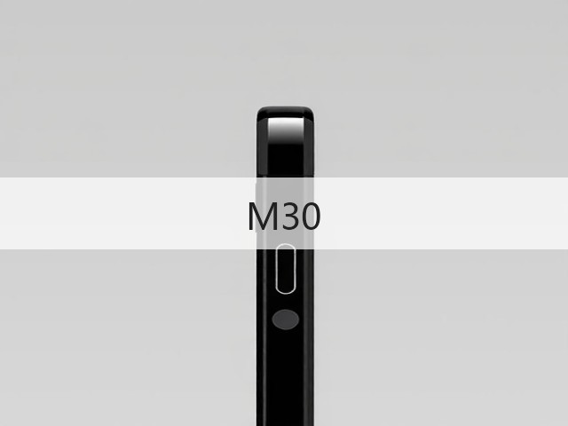 M30(图3)