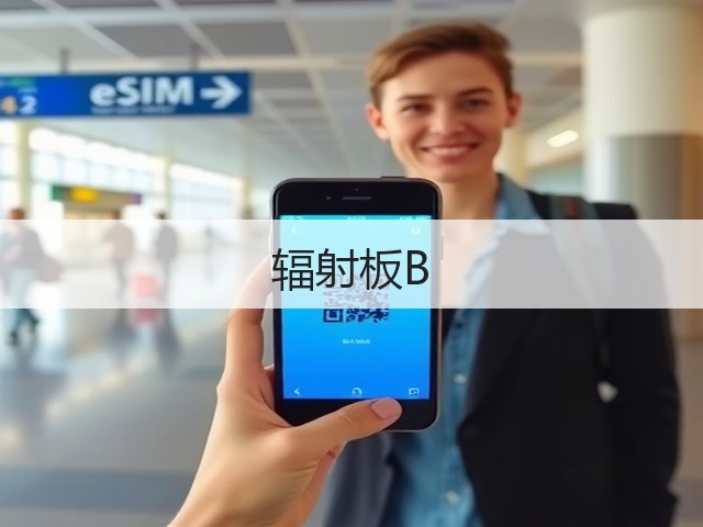 辐射板B(图3) 辐射板B(图3)