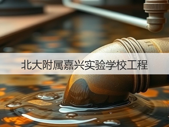 北大附属嘉兴实验学校工程(图1)