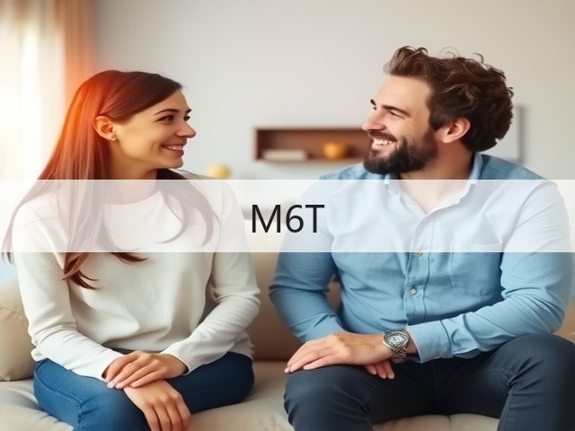 M6T(图1)