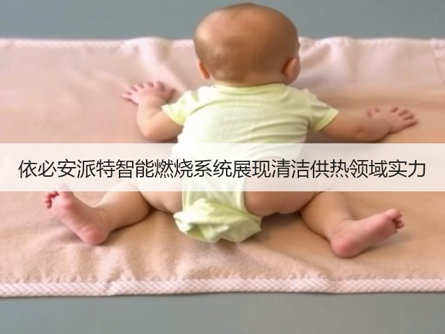 依必安派特智能燃烧系统展现清洁供热领域实力(图1) 依必安派特智能燃烧系统展现清洁供热领域实力(图1)