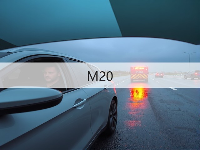 M20(图3)