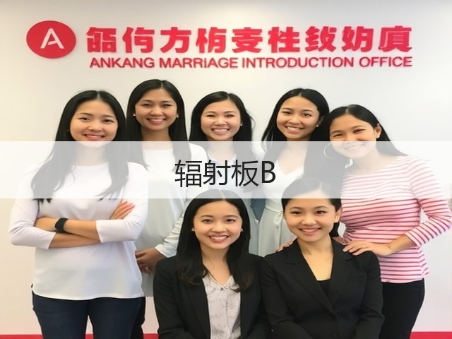辐射板B(图2) 辐射板B(图2)