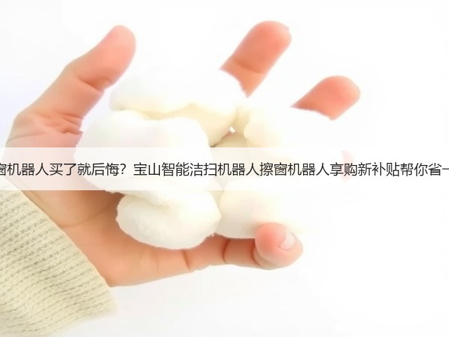 擦窗机器人买了就后悔?宝山智能洁扫机器人擦窗机器人享购新补贴帮你省一半(图2) 擦窗机器人买了就后悔?宝山智能洁扫机器人擦窗机器人享购新补贴帮你省一半(图2)