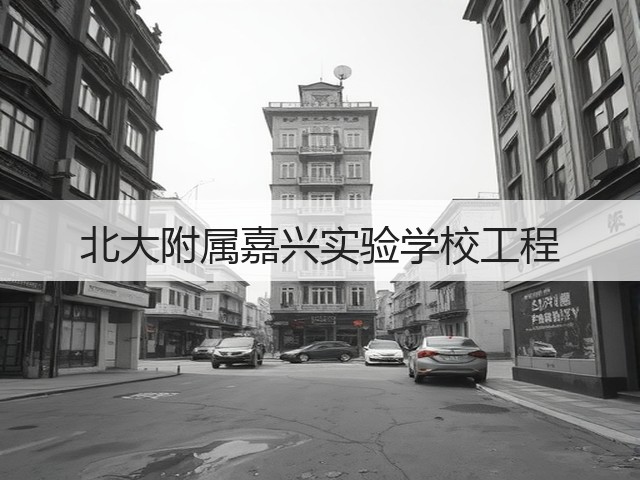 北大附属嘉兴实验学校工程(图3)