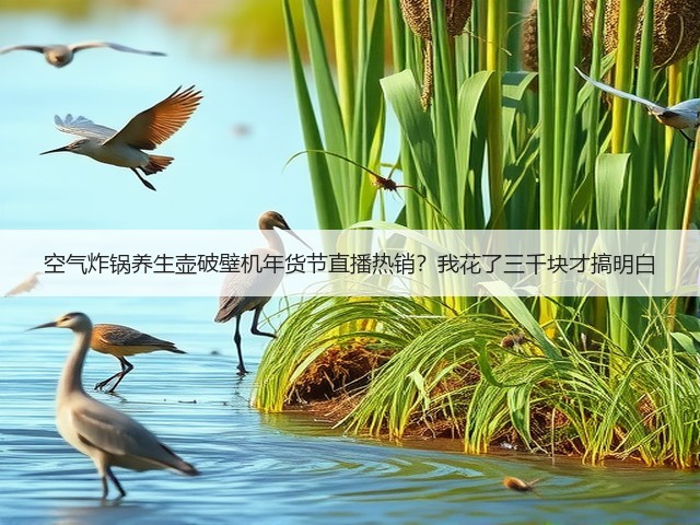 空气炸锅养生壶破壁机年货节直播热销?我花了三千块才搞明白(图2) 空气炸锅养生壶破壁机年货节直播热销?我花了三千块才搞明白(图2)