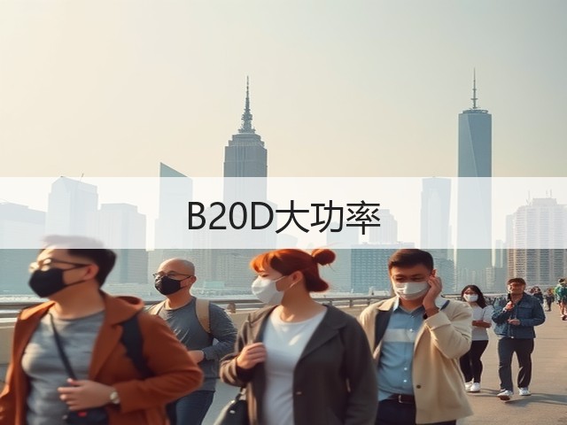 B20D大功率(图1)