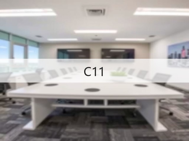 C11(图1)
