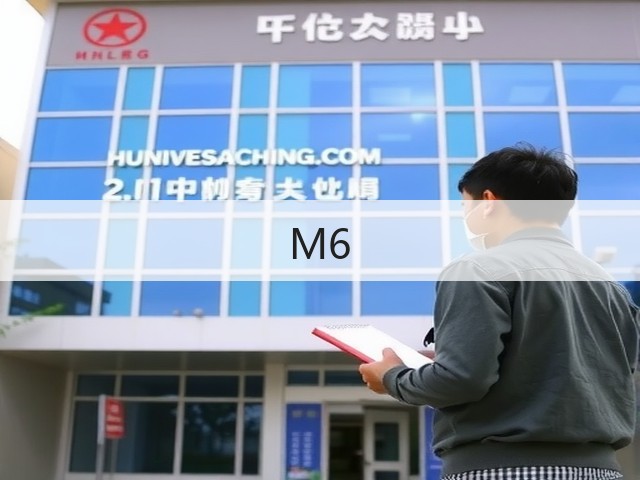 M6(图1)