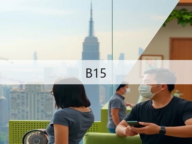 B15(图3)