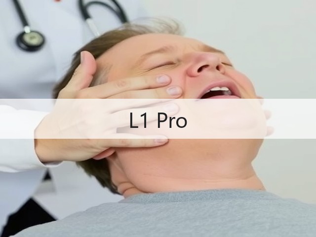 L1 Pro(图1)